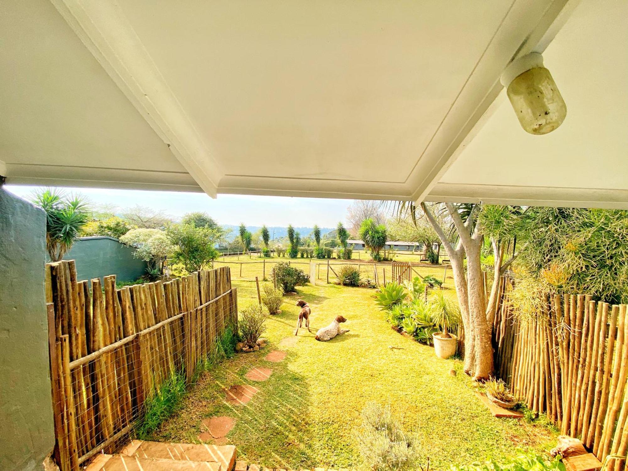 Fever Tree Guesthouse Hillcrest Exterior foto